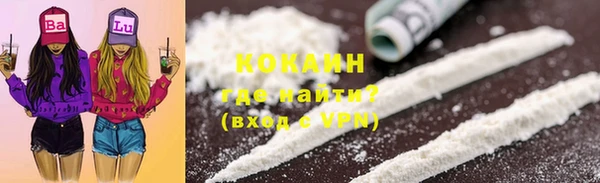 кокс Алексин