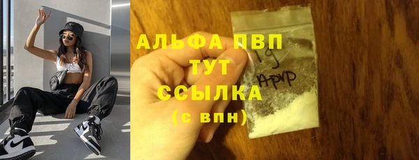 крисы Алзамай