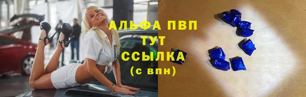 крисы Алзамай
