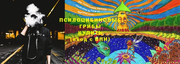крисы Алзамай