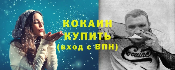 кокс Алексин
