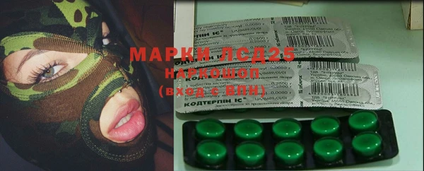 кокс Алексин