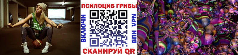 кракен вход  магазин продажи   Оса  Псилоцибиновые грибы Magic Shrooms 